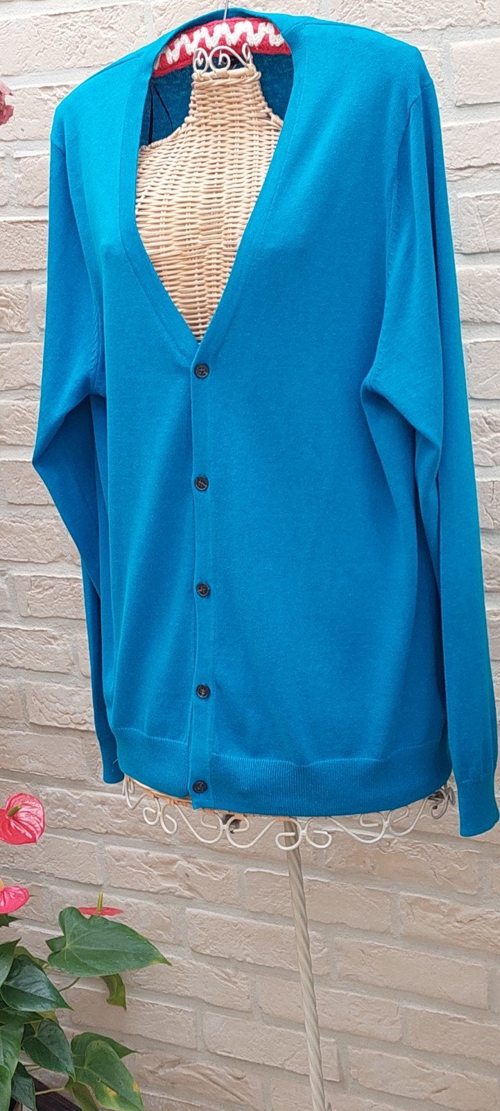 vest maat l h&m 54cm van oksel tot oksel, Kleding | Dames, H&M, Blauw, Maat 42/44 (L), Ophalen of Verzenden