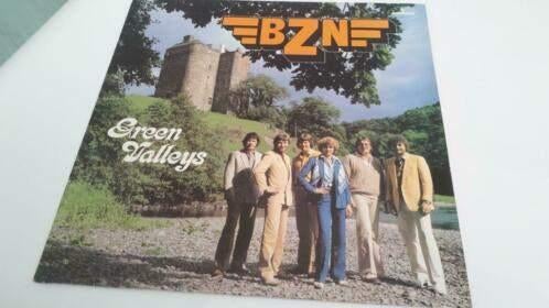 disque vinyle BZN 'Green Valleys', CD & DVD, Vinyles | Pop, Enlèvement