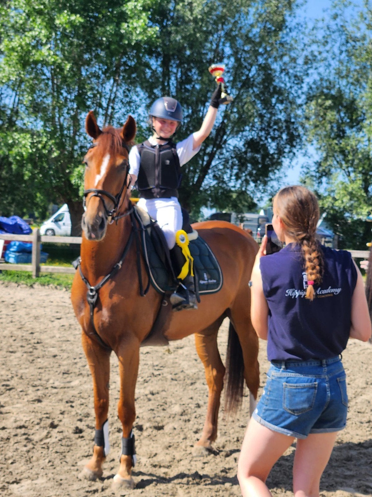 Veelbelovende 6jaarse merrie te koop!, Jument, Z