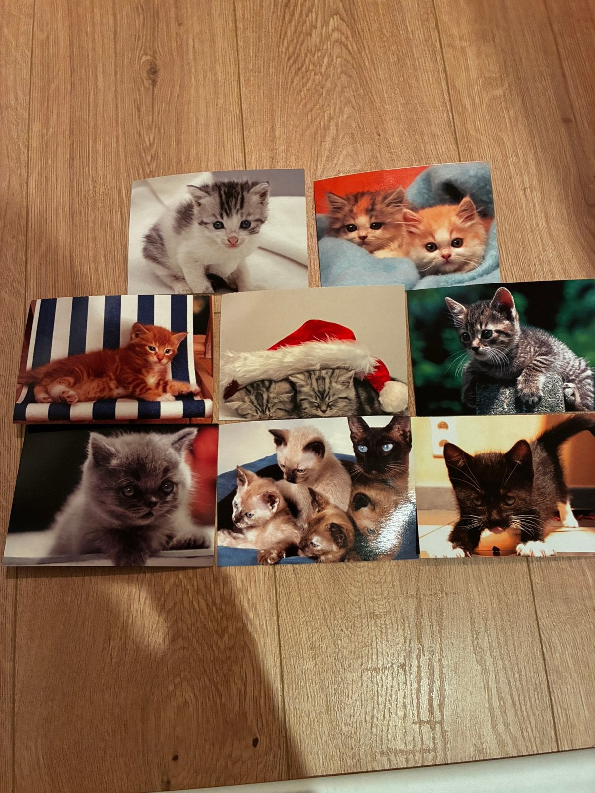 Katten postkaarten, Verzamelen, Ophalen, 1980 tot heden, Ongelopen, Hond of Kat