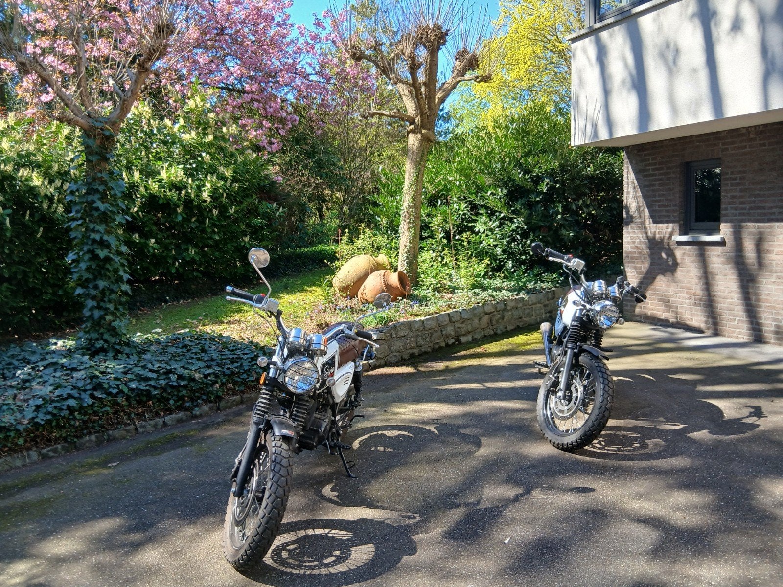 Moto Orcal sirio, Enlèvement