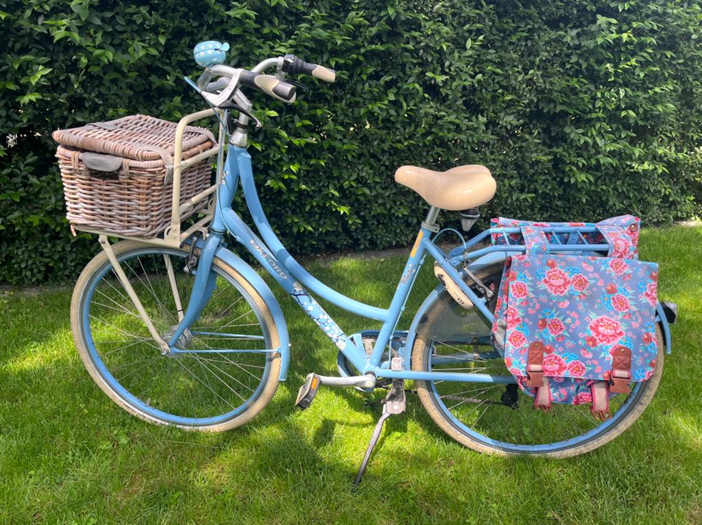 Oxford damesfiets, 47 tot 50 cm, Ophalen, Gebruikt, Versnellingen