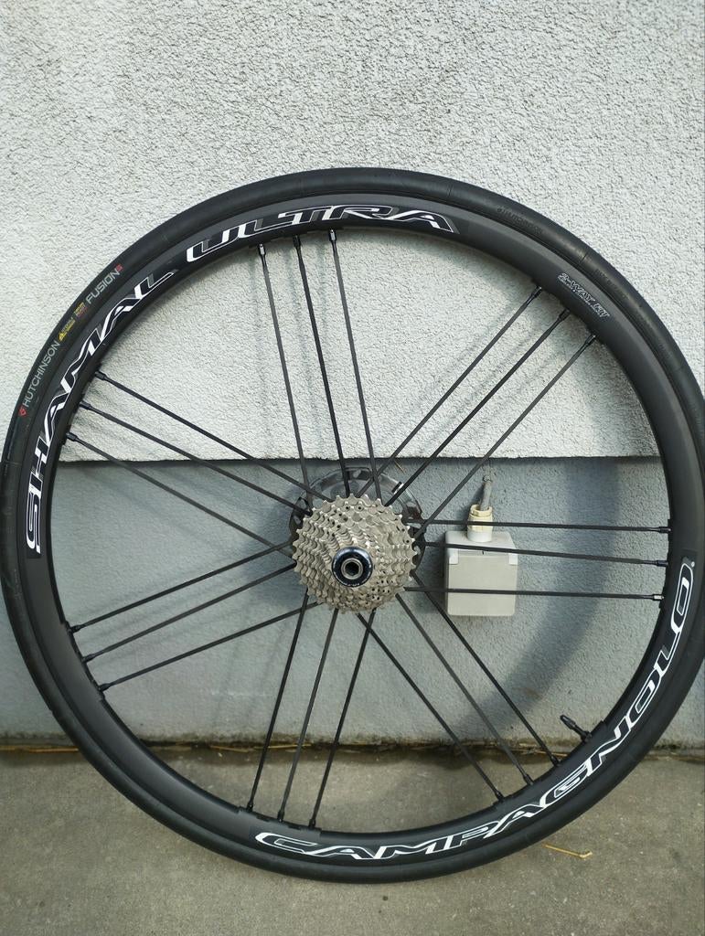 Roue Shamal Disc 11V, Pneu, Campagnolo, Enlèvement, Utilisé