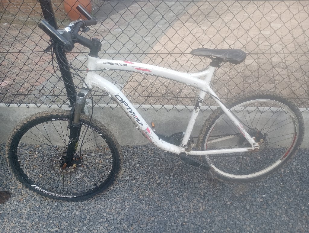 Mountainbike, Fietsen en Brommers, Ophalen, Gebruikt, Schijfrem
