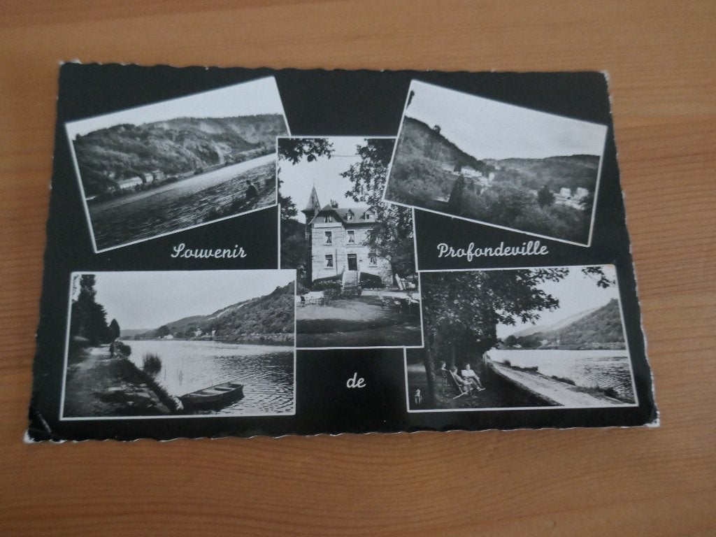 profondeville souvenir de profondeville, Ophalen of Verzenden, Gelopen, Namen