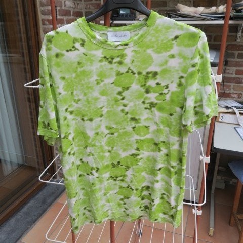 T-shirt nieuw print groen Christian Wijnants mt L, Maat 42/44 (L), Nieuw, Christian Wijnants, Ophalen of Verzenden