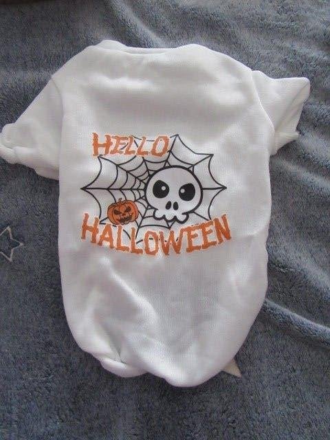 Witte halloween outfit voor kleine hond / puppy, Dieren en Toebehoren, Ophalen of Verzenden, Zo goed als nieuw, Overige typen