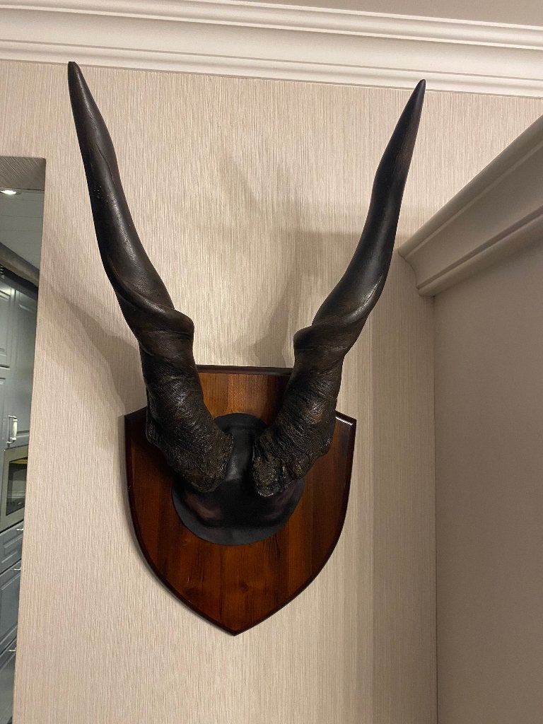 Eland antilope, Ophalen, Wanddecoratie, Natuurlijk materiaal, Handgemaakt