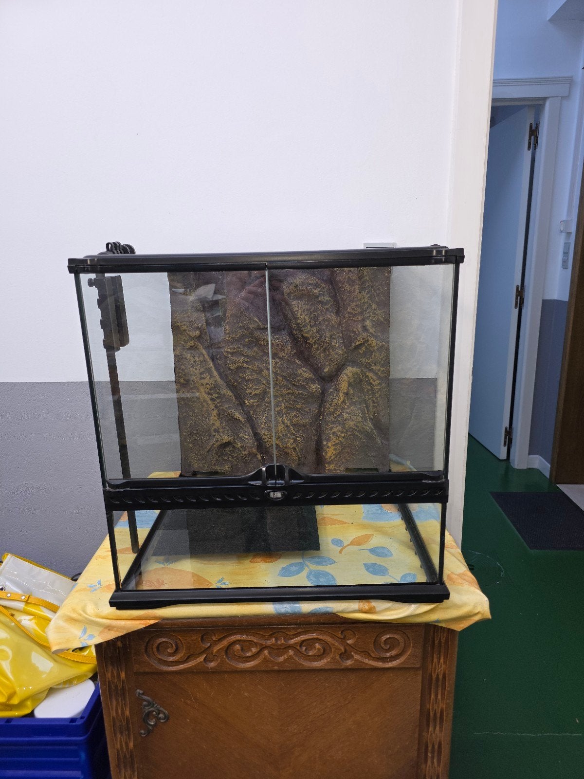 exo terra teraruim  45x45x45 cm, Ophalen, Gebruikt, Terrarium of Paludarium