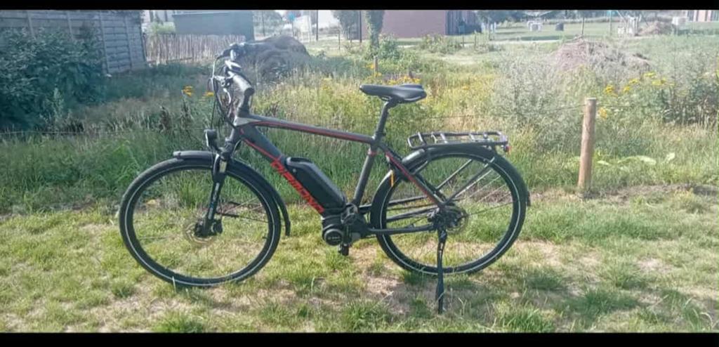 Elektrische herenfiets, Fietsen en Brommers, Elektrische fietsen, Ophalen