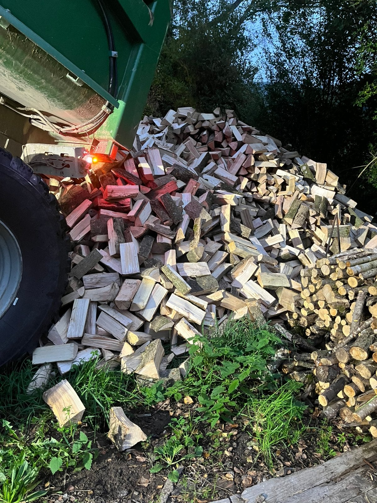 Bois de chauffage de qualité en Belgique, Enlèvement, Frêne