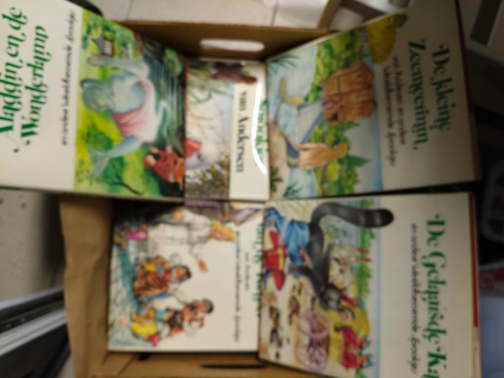 Set van 16 sprookjesboeken van Hans Christian Andersen, Enlèvement