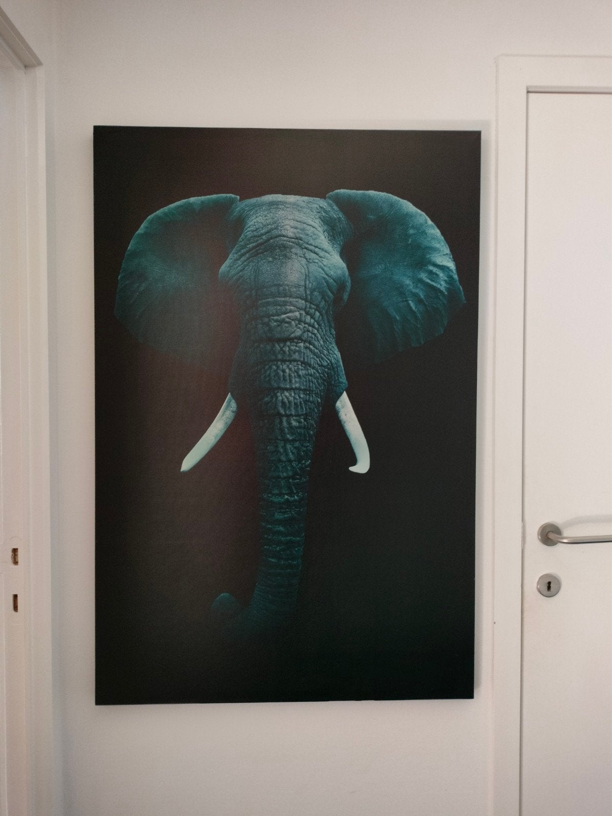 kader olifant print, Ophalen, 75 – 100, 50 tot 75 cm, Print