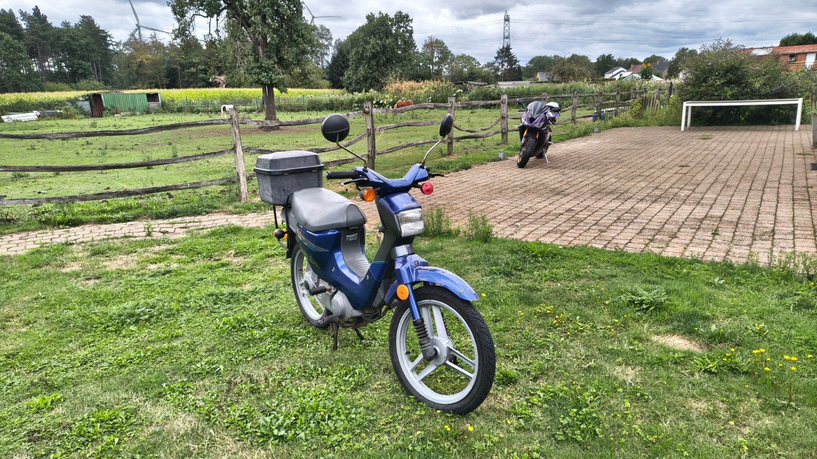 Honda Wallaroo B Klasse, Autres modèles, 49 cm³, Classe B (45 km/h), Enlèvement