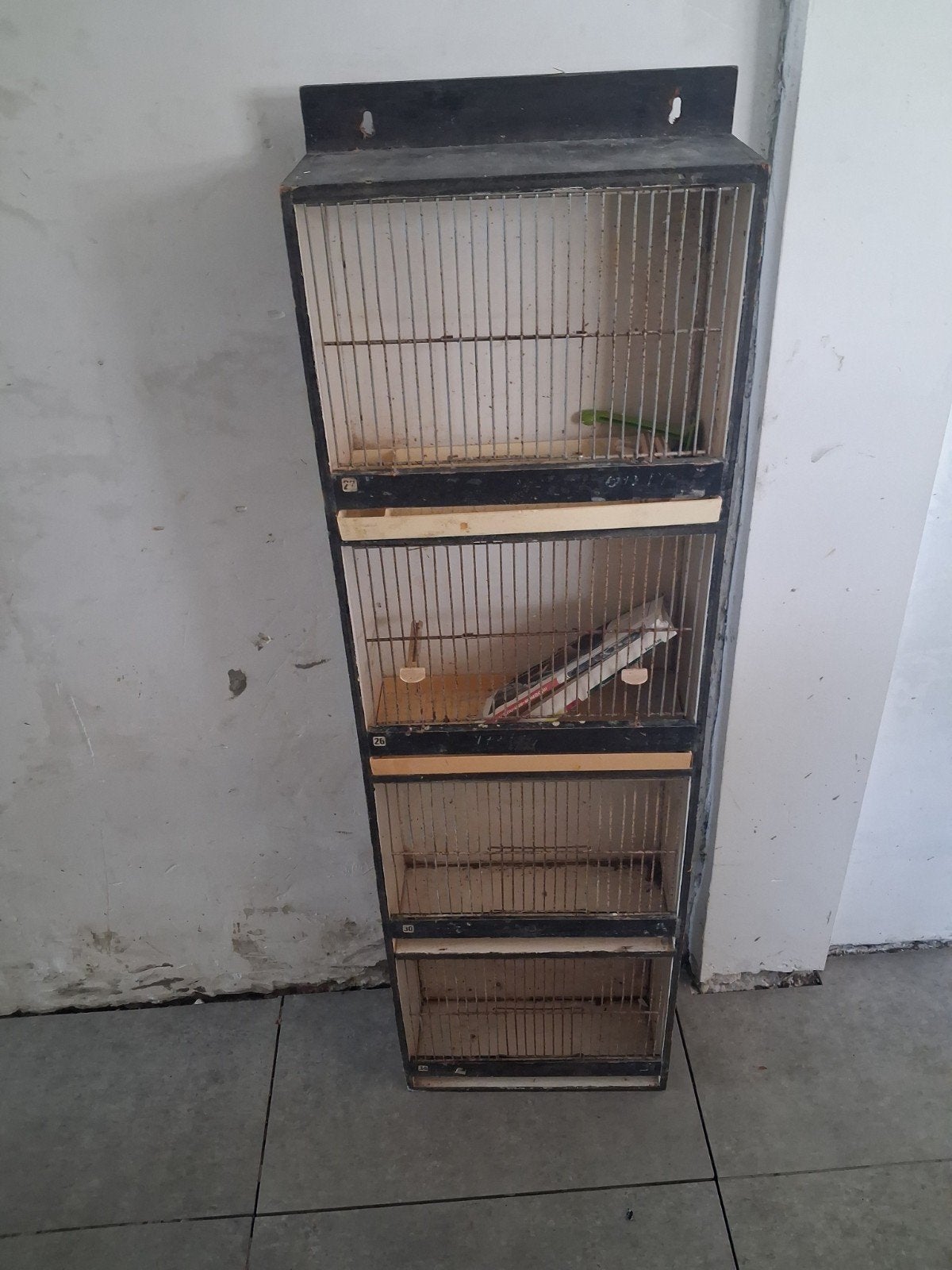 Vogel tentoonstelling bakjes, Dieren en Toebehoren, Ophalen
