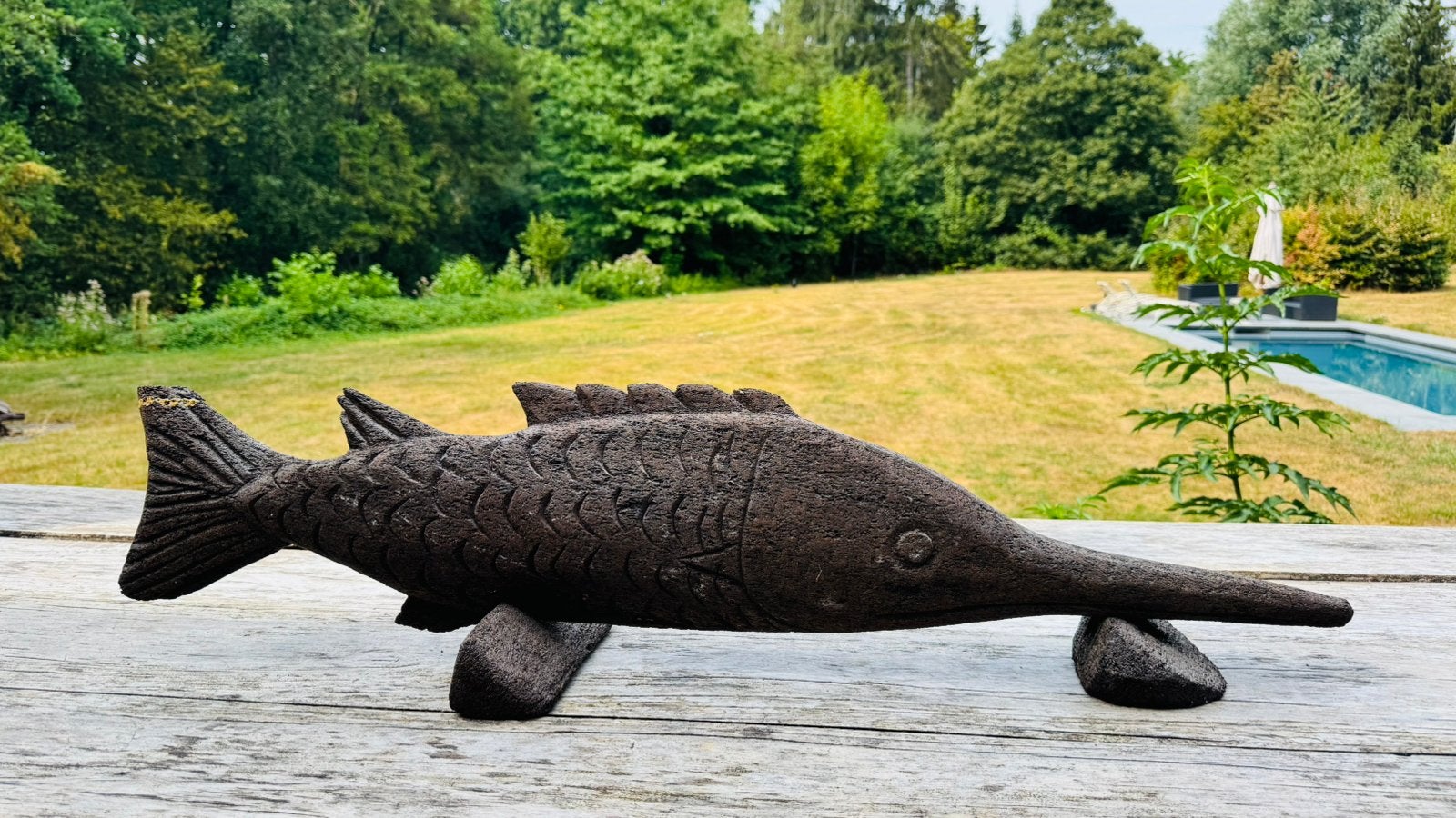 Beeldhouwwerk ‚Zwaardvis’ uit boomvaren, Antiek en Kunst, Ophalen of Verzenden, Handgemaakt, Overige materialen, Beeld
