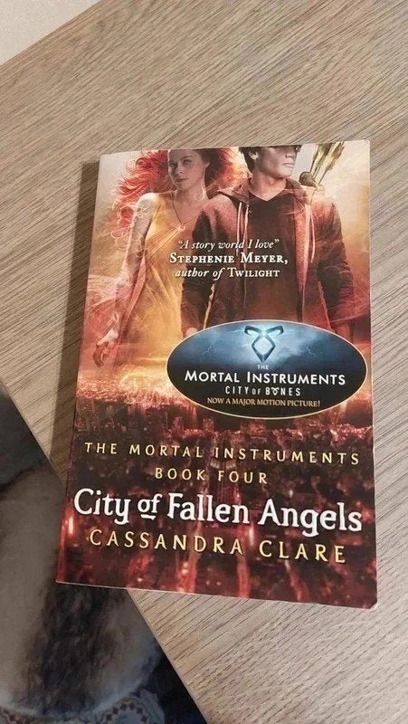 City of Fallen Angels - The mortal instruments, Ophalen of Verzenden, Gelezen, Cassandra clare