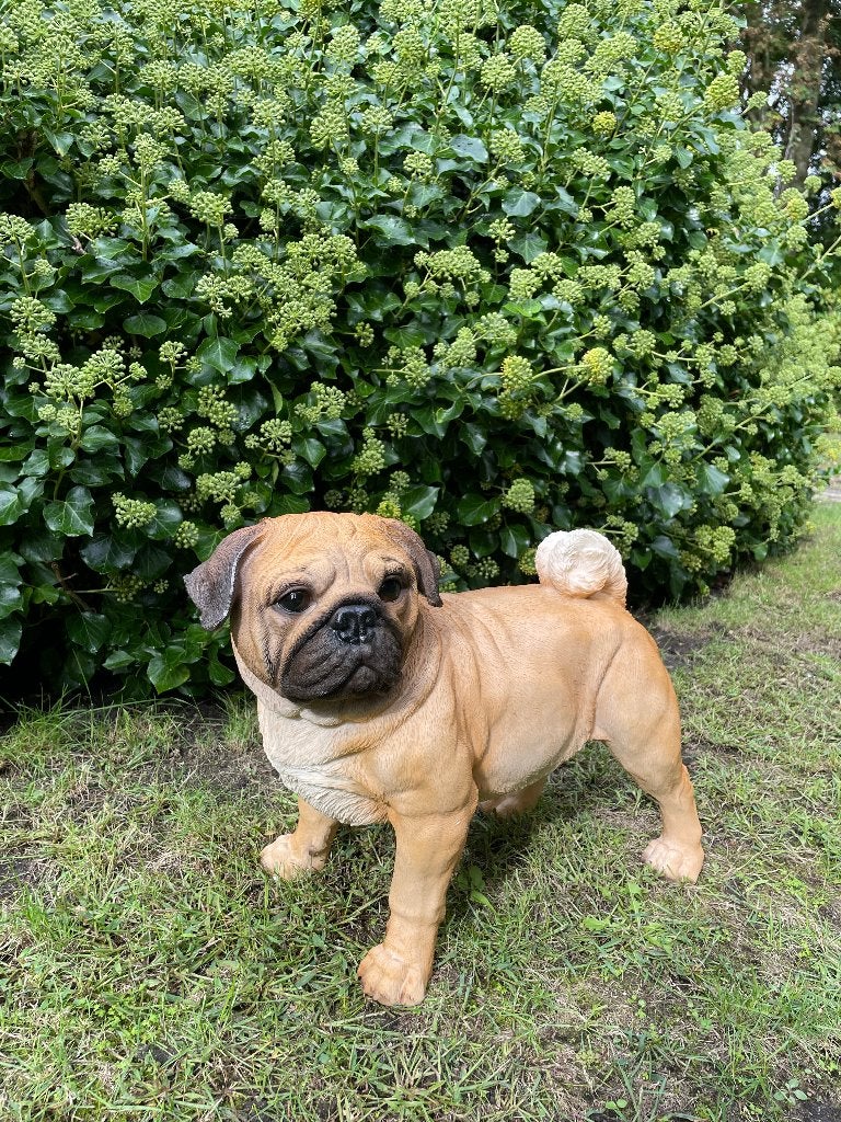 Chien carlin debout, pelouse, jardin, 50 cm, Jardin & Terrasse, Enlèvement, Neuf, Synthétique, Animal
