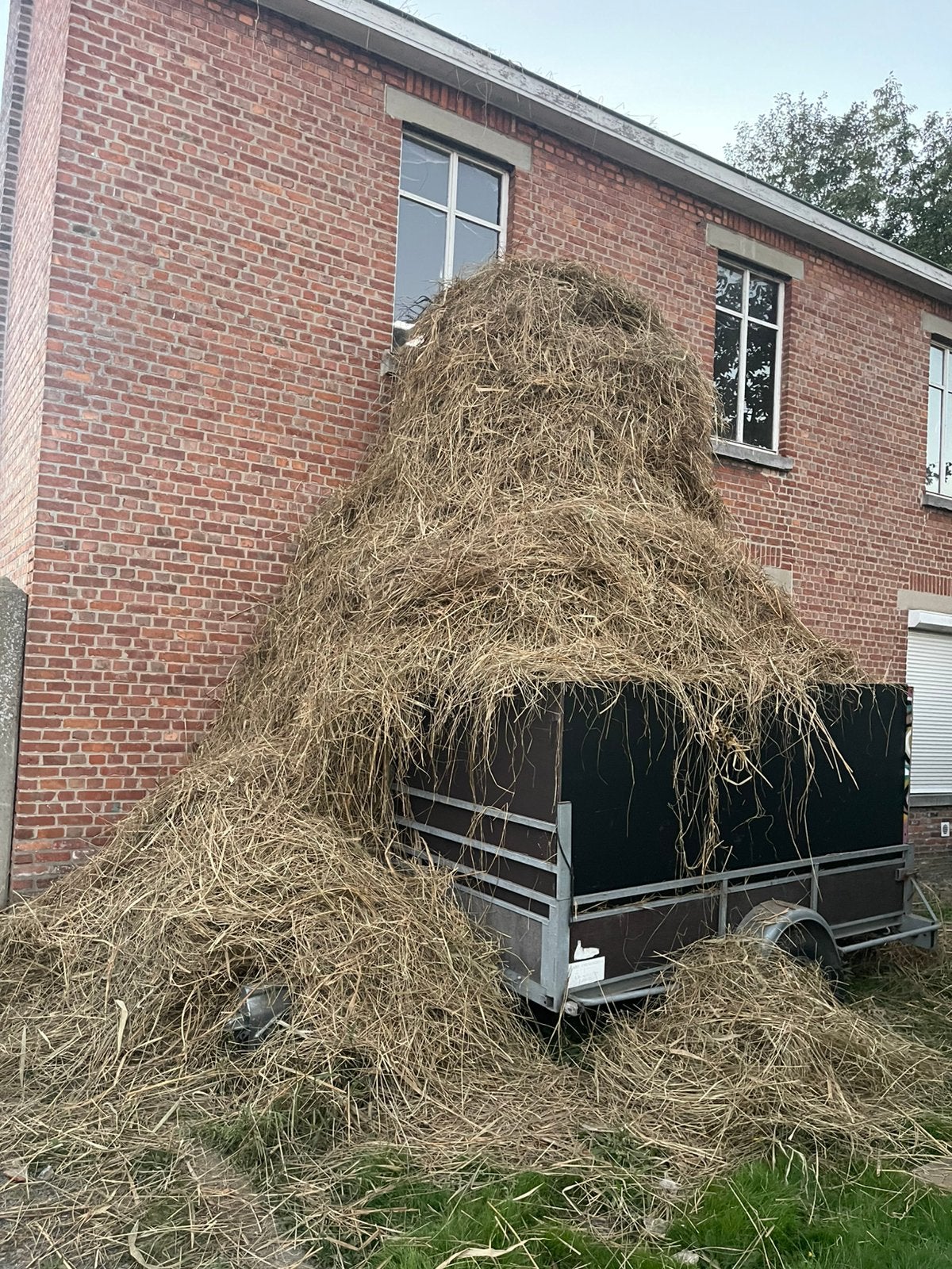 Gratis hooi, Enlèvement