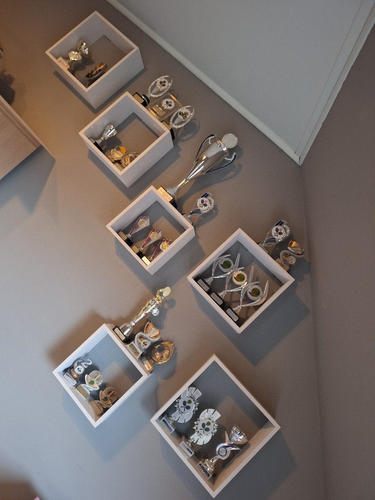 Trofeeën, Ophalen, Zo goed als nieuw, Overige typen