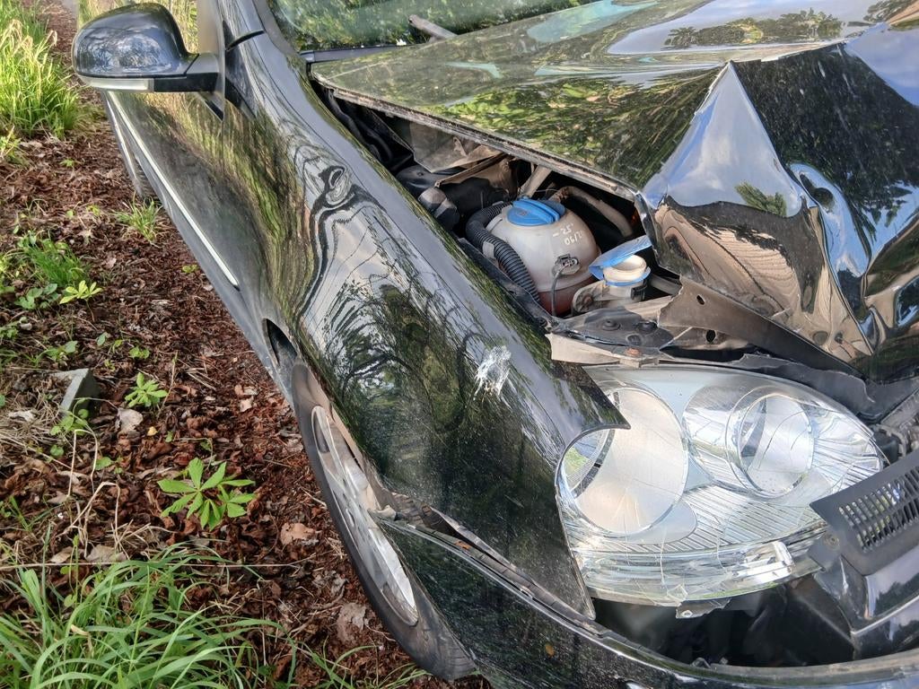 Auto Golf 5, Dieren en Toebehoren, Ophalen