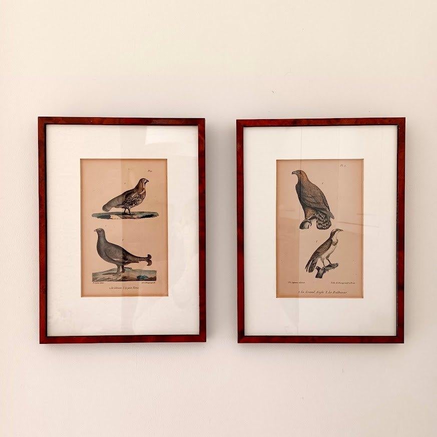 Ornithologische lithografieën 1828–1833– Burggraaff, Lejeune, Antiquités & Art, Art | Lithographies & Sérigraphies, Enlèvement ou Envoi
