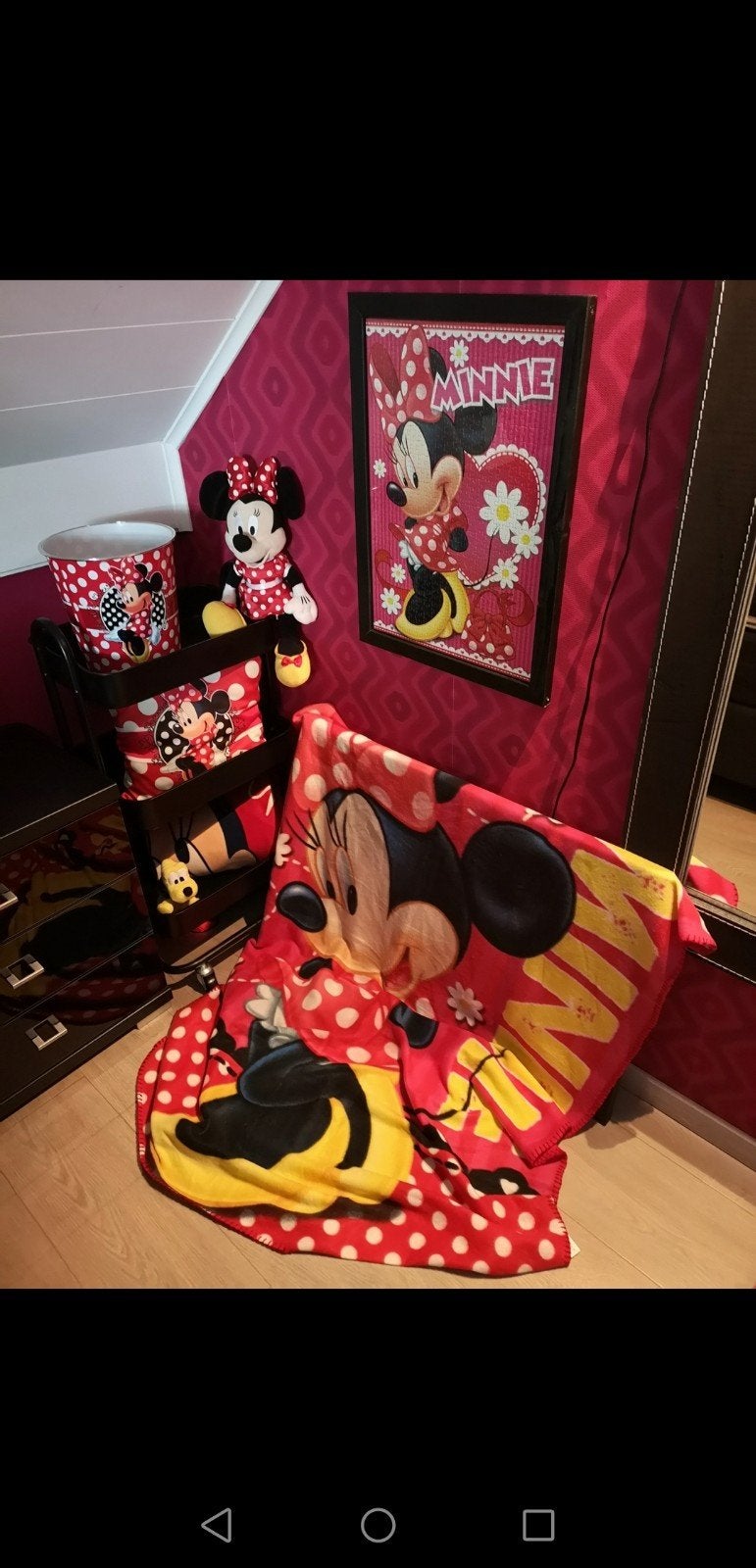 Minnie Mouse, Collections, Enlèvement, Peluche