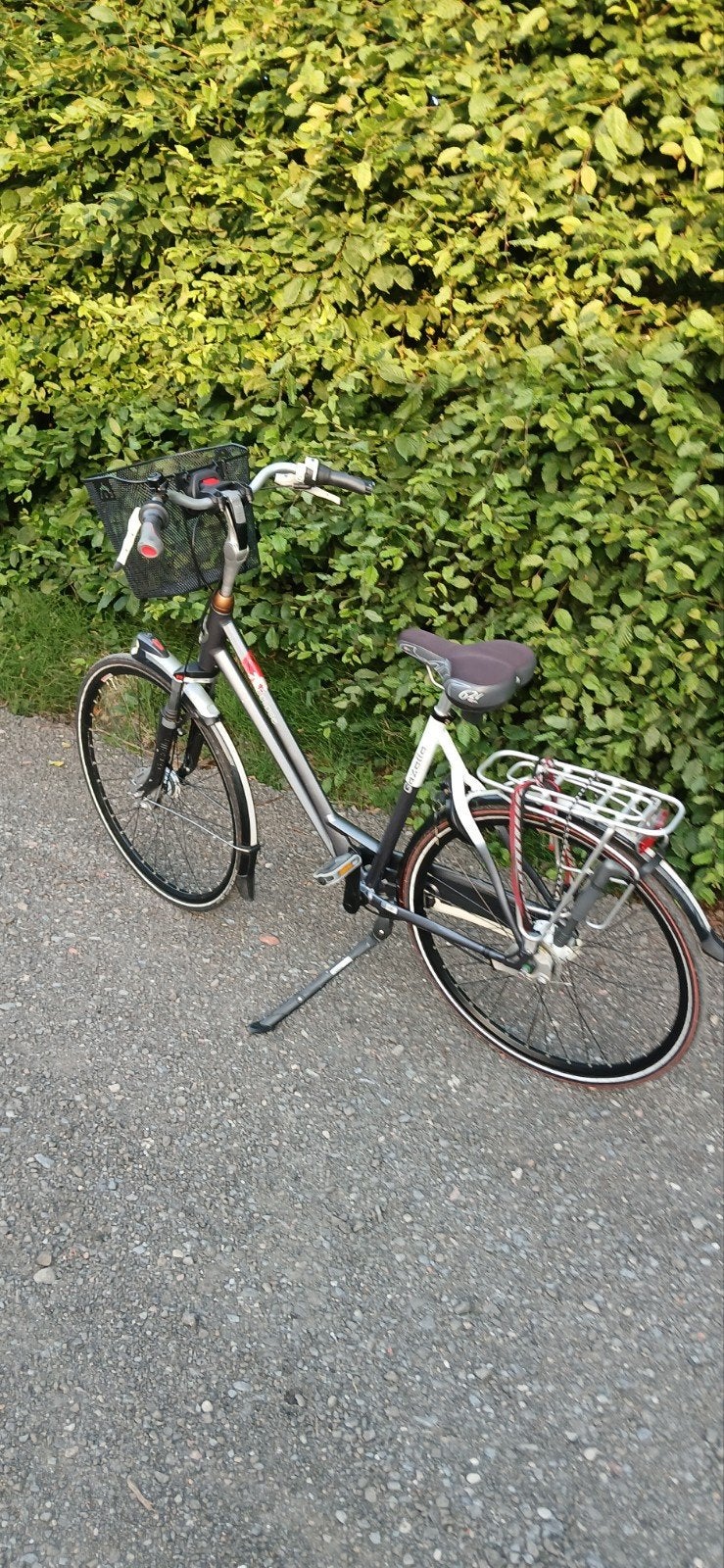 gazelle damesfiets, Fietsen en Brommers, Fietsen | Dames | Damesfietsen, Ophalen, Gazelle