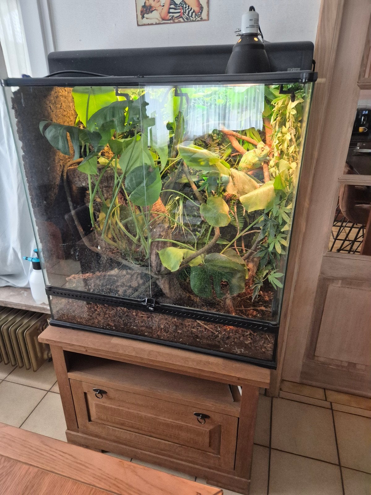 te koop exoterra terrarium 90cm op 90cm en 45cm met bijhoren, Dieren en Toebehoren, Ophalen, Zo goed als nieuw, Terrarium of Paludarium