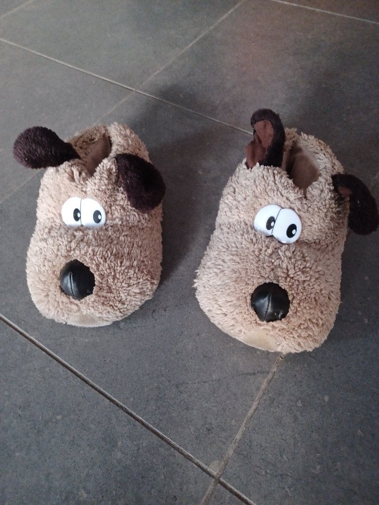 Leuke warme pantoffels, maat 37, Kleding | Dames, Ophalen of Verzenden, Zo goed als nieuw