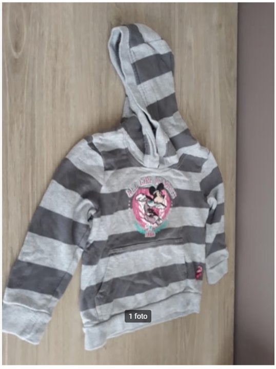 Hoodie maat 98, Disney, Kinderen en Baby's, Kinderkleding | Maat 98, Ophalen of Verzenden, Zo goed als nieuw, Meisje, Trui of Vest