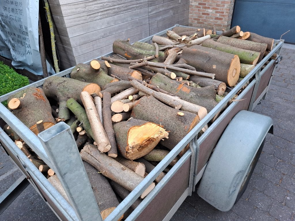 Brandhout, Tuin en Terras, Brandhout, Ophalen, Overige houtsoorten