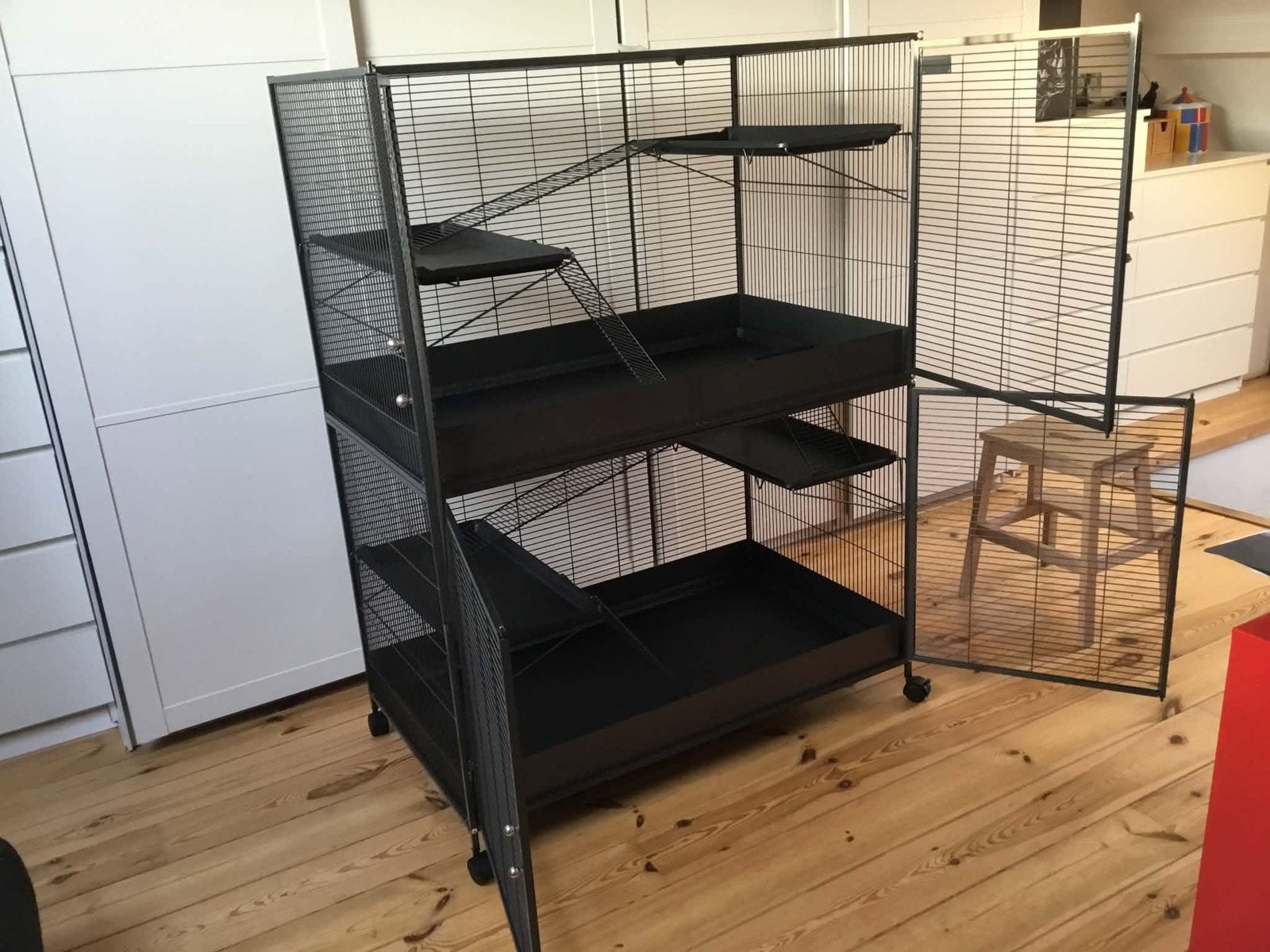 Chinchilla kooi (Ophalen in Ronse), Ophalen, Kooi, Chinchilla