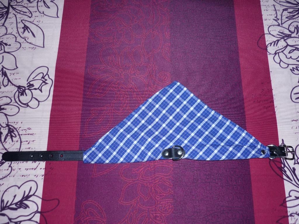 Collier NEUF avec foulard pour jeune chien, Enlèvement ou Envoi, Neuf
