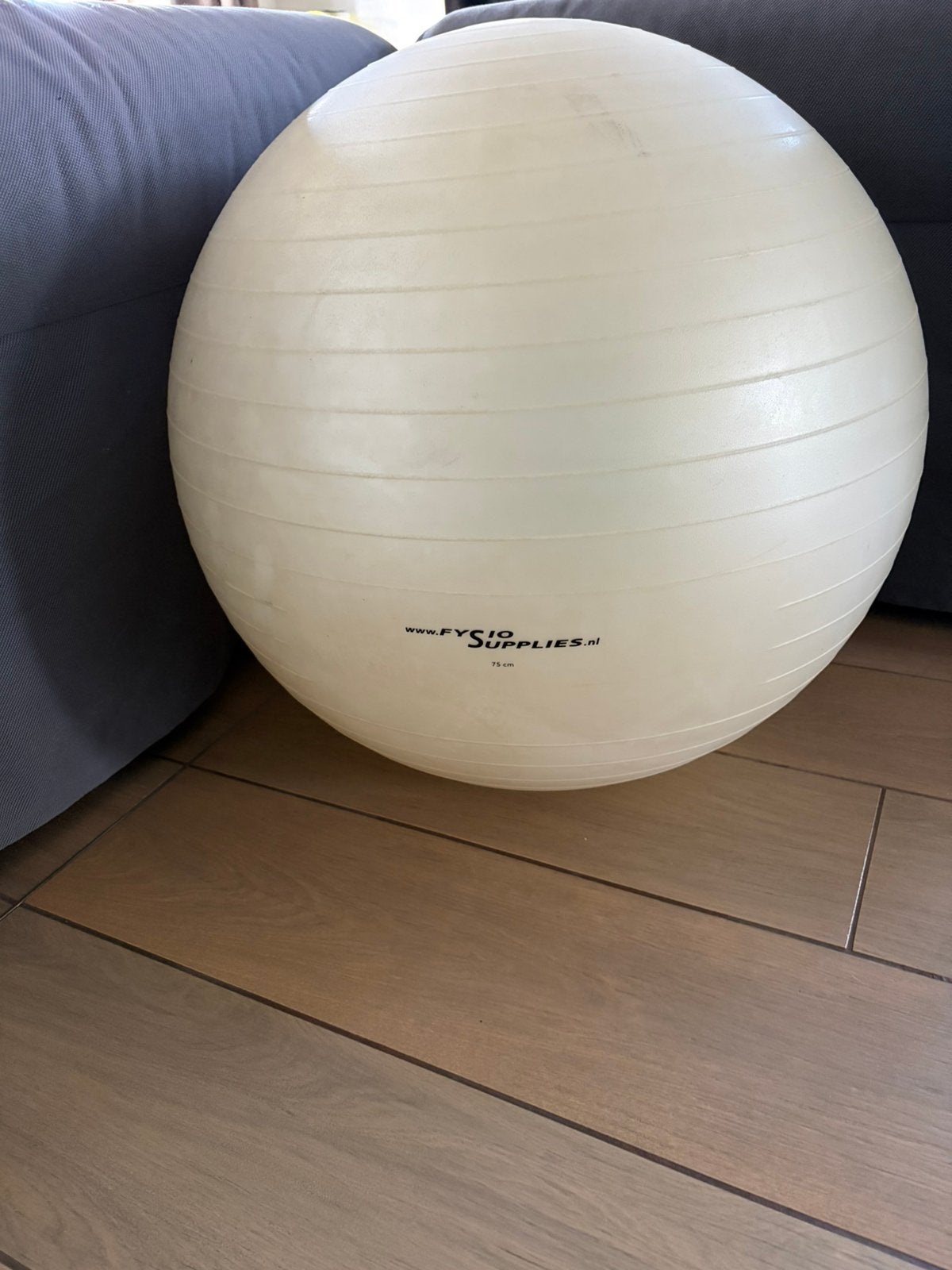 Fysio/fitness bal 75 cm, Sports & Fitness, Enlèvement, Comme neuf, Autre