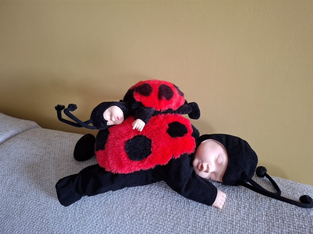 Anne Geddes vintage poppen: Lieveheersbeestjes, Ophalen of Verzenden, Gebruikt, Pop