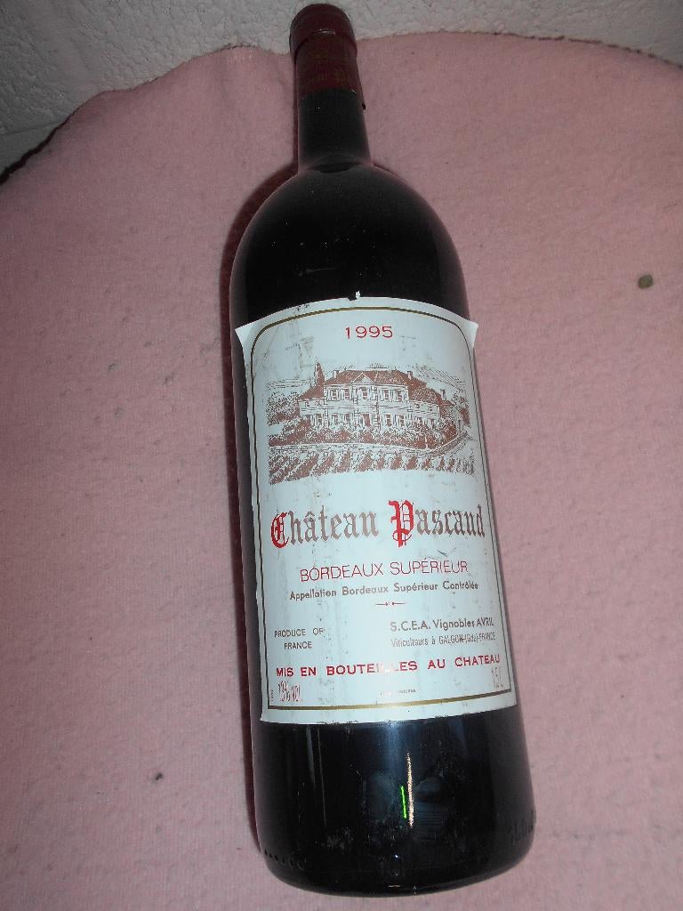 chateau pascaud 1995, Frankrijk, Nieuw, Ophalen of Verzenden, Rode wijn