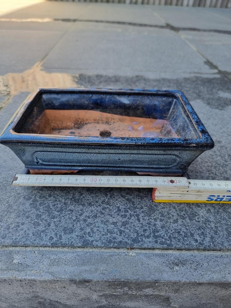 Bonsaï pot, Tuin en Terras, Ophalen