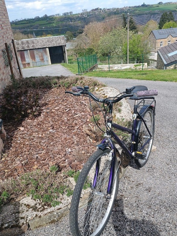 VTT - Enfant / Ado, Vélos & Vélomoteurs, Frein sur jante, Femmes, Enlèvement, Utilisé