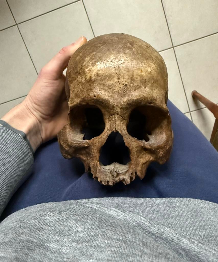 Dayak, Kayan, Authentic Head et Faster., Enlèvement ou Envoi, Comme neuf