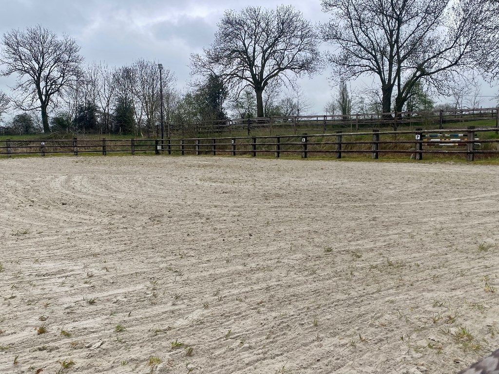 Pension Equine. Prairie 24/7, Animaux & Accessoires