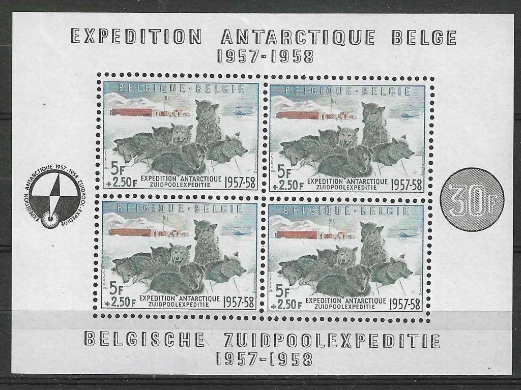 Belgique 1957 - Bloc 31 d'Yvert - Expédition au pôle Su (PF), Envoi, Non oblitéré, Neuf