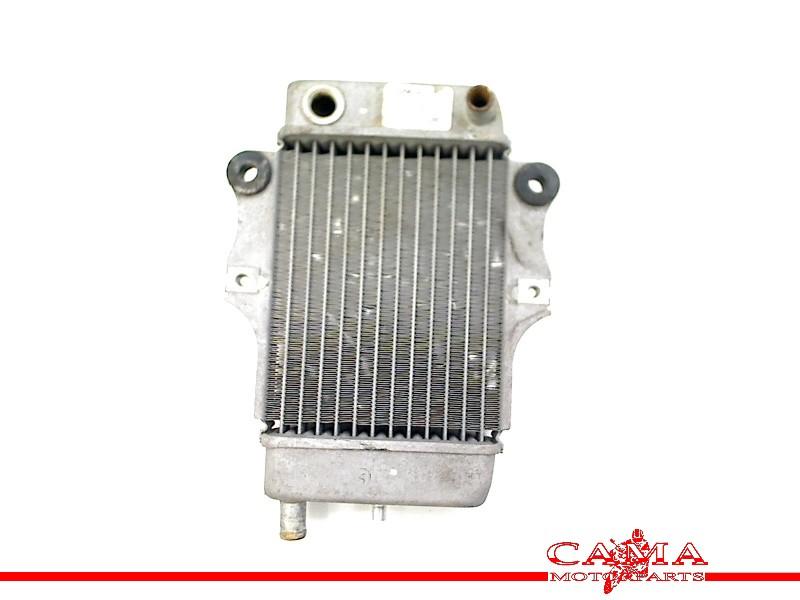 RADIATEUR Honda SES 150 Dylan (SES150) (01-1970/-) (614030), Motoren, Dhr. S. di Majo, Gebruikt, Info@cama-motorparts.nl, P.J. Troelstraweg 8 8
3144 CX  MAASSLUIS, NL