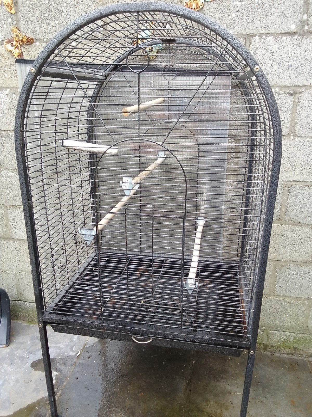 Vogel kooi, Enlèvement