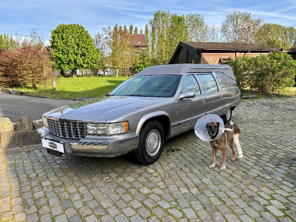 Hearse V8 uit de eerste hand gereden 80000 kmCar pass Belge, Auto's, Automaat, Achterwielaandrijving, 8 cilinders, Overige bekleding