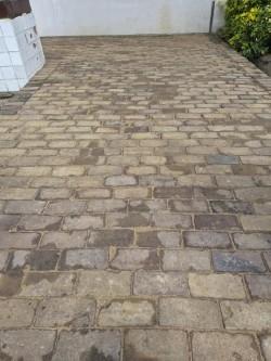 pavés gratuits, Enlèvement, Utilisé, 10 m²² ou plus, Briques