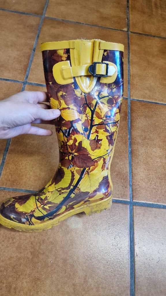 Bottes taille 38 - thème automne, Enlèvement ou Envoi, Comme neuf