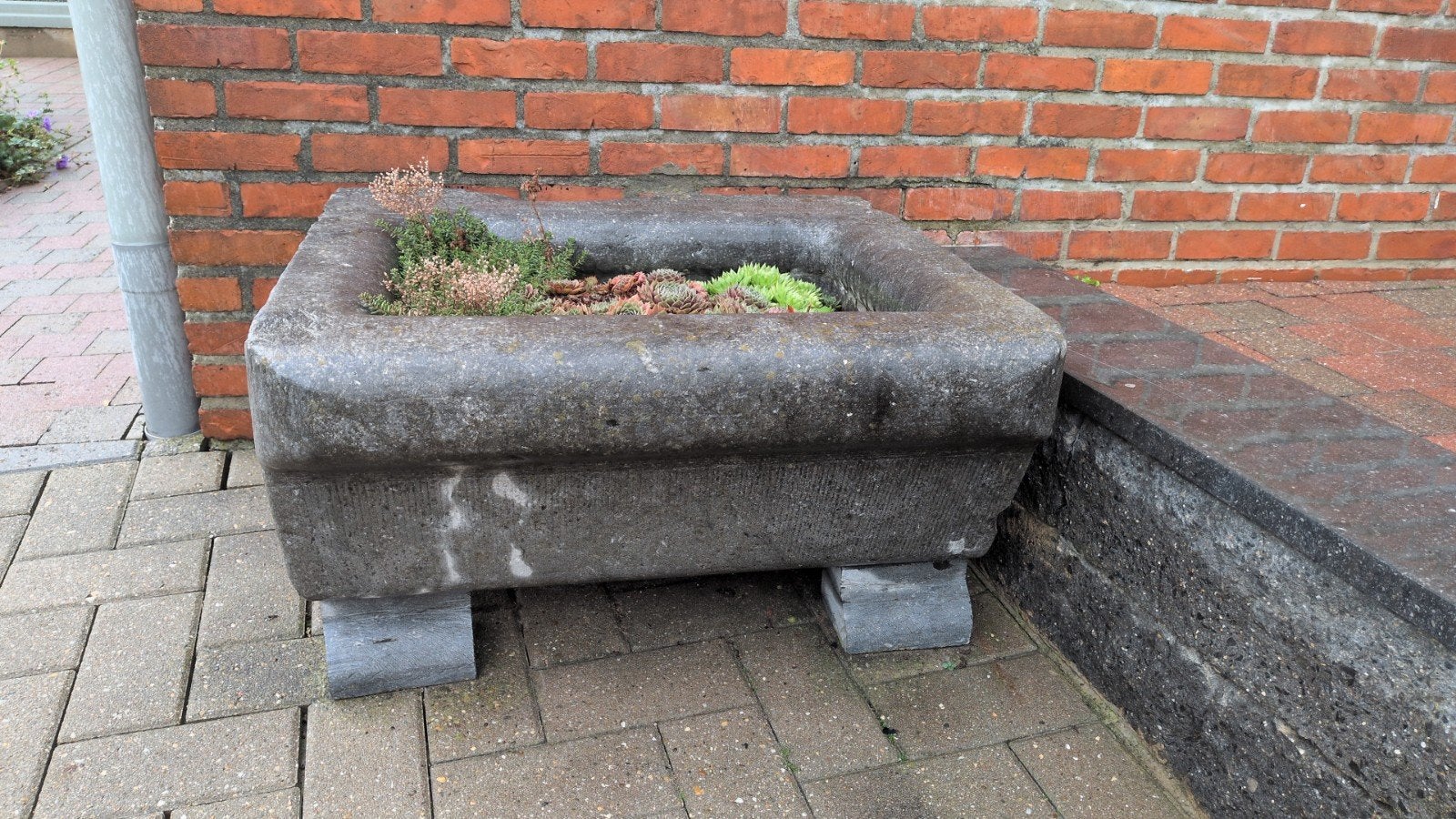 prachtige arduinen voederbak, Jardin & Terrasse, Enlèvement