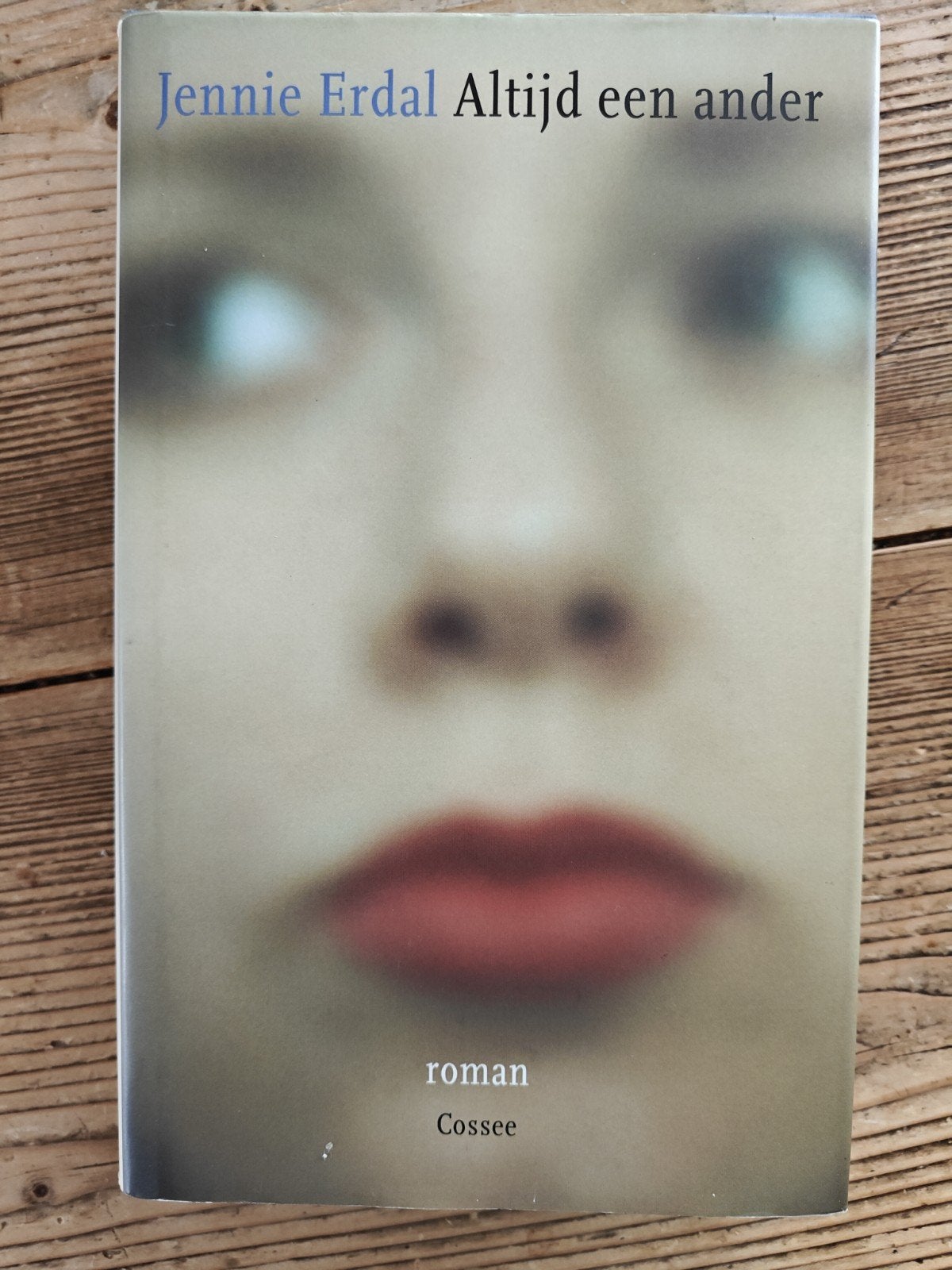 Jennie Erdal - Altijd een ander, Enlèvement, Jennie Erdal