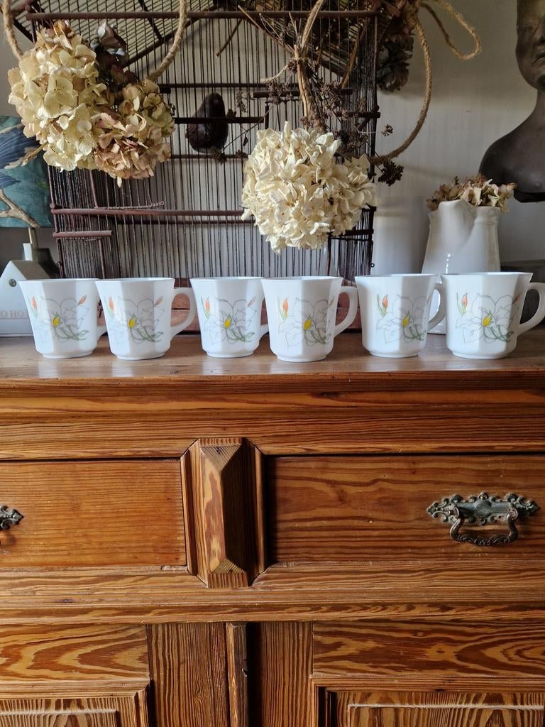 6 tasses Arcopal
